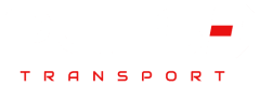 puls main logo (1)